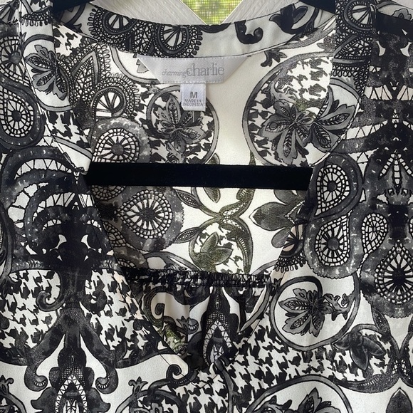 Charming Charlie High/Low V-Neck Sheer Print Tunic Top - Picture 6 of 9